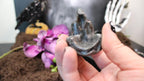 Crystal Dark Wizard – Choose Your Stone | Enchanted Forest Selection