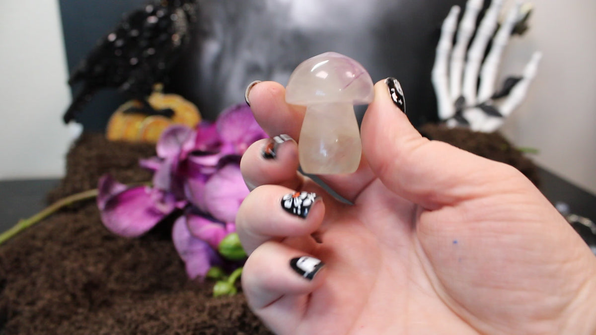 Fluorite Mushroom – Enchanted Forest Selection