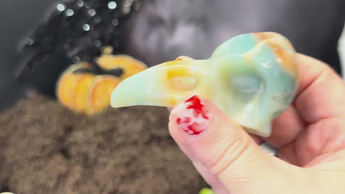 Caribbean Calcite Raven Skull – Choose Your Exact Piece