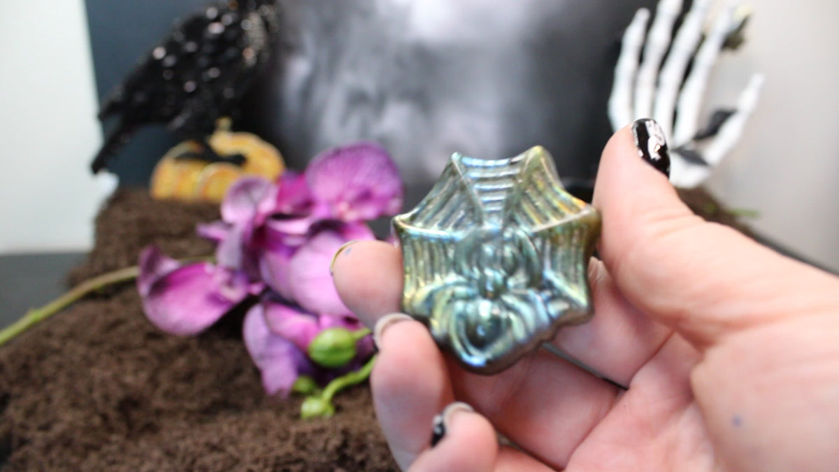 Labradorite & Fluorite Spiderweb – Enchanted Forest Selection
