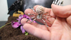 Crystal Spider – Choose Your Stone & Metal | Enchanted Forest Selection