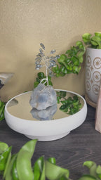 Eye of the Storm Bonsai - Made to Order