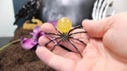Crystal Spider – Choose Your Stone & Metal | Enchanted Forest Selection