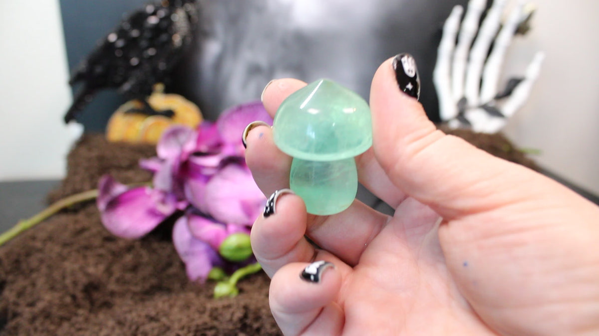 Fluorite Mushroom – Enchanted Forest Selection