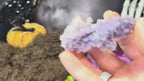 Quality Grape Agate – Choose Your Exact Piece